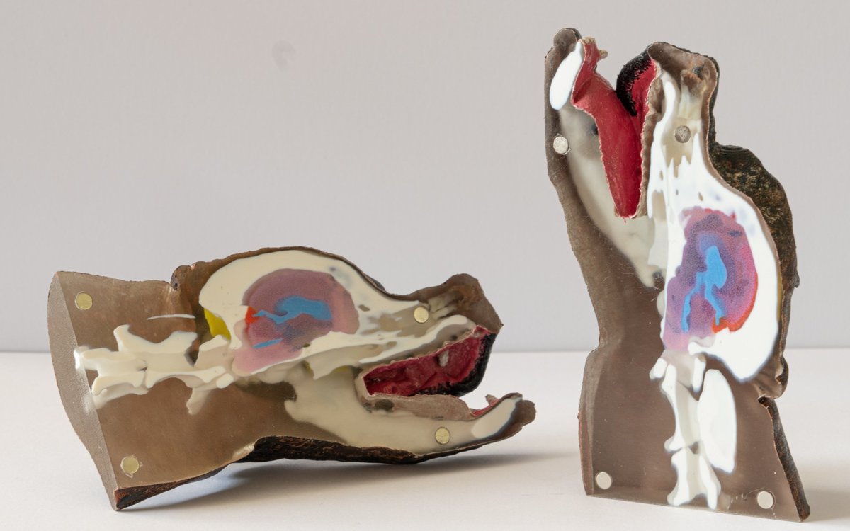 Patient-Specific Phantoms for Preoperative Planning of Canine Intracranial Neurosurgery